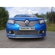 Рамка номерного знака Renault Sandero (комплект) ТСС для Любые